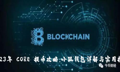 2023年 CORE 提币攻略:小狐钱包详解与实用技巧