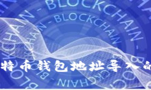 全面解析：2023年比特币钱包地址导入的7个步骤和注意事项