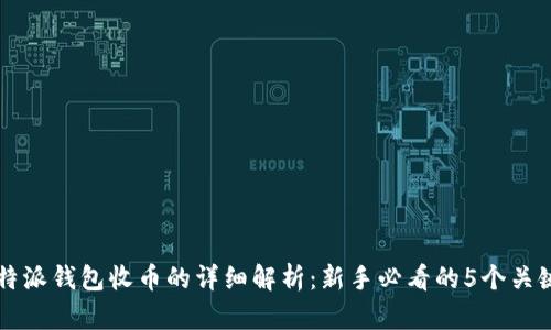 比特派钱包收币的详细解析：新手必看的5个关键点