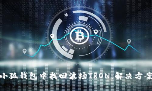 如何在小狐钱包中找回波场TRON：解决方案与步骤