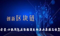解决方案：小狐钱包头像框消失的五大