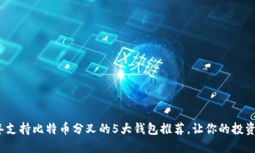 2023年支持比特币分叉的5大钱包推荐,让你的投资更安全