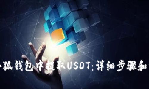 如何在小狐钱包中提取USDT：详细步骤和注意事项