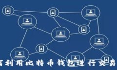   完整指南：新手如何利用比特币钱包