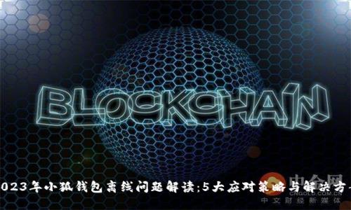 2023年小狐钱包离线问题解读：5大应对策略与解决方案