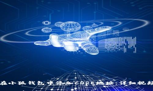 如何在小狐钱包中添加CORE地址：详细视频教程