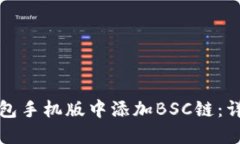 如何在小狐钱包手机版中添加BSC链：详细步骤与