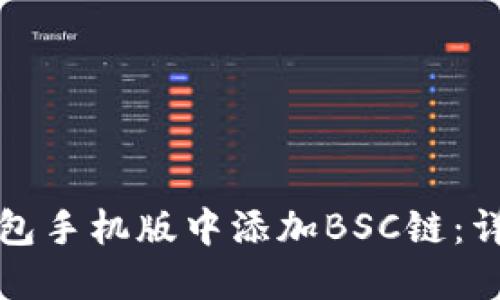 如何在小狐钱包手机版中添加BSC链：详细步骤与技巧