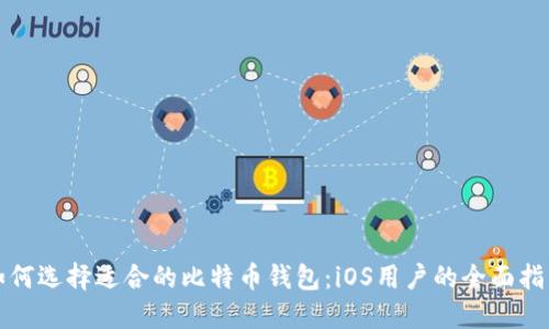 如何选择适合的比特币钱包：iOS用户的全面指南